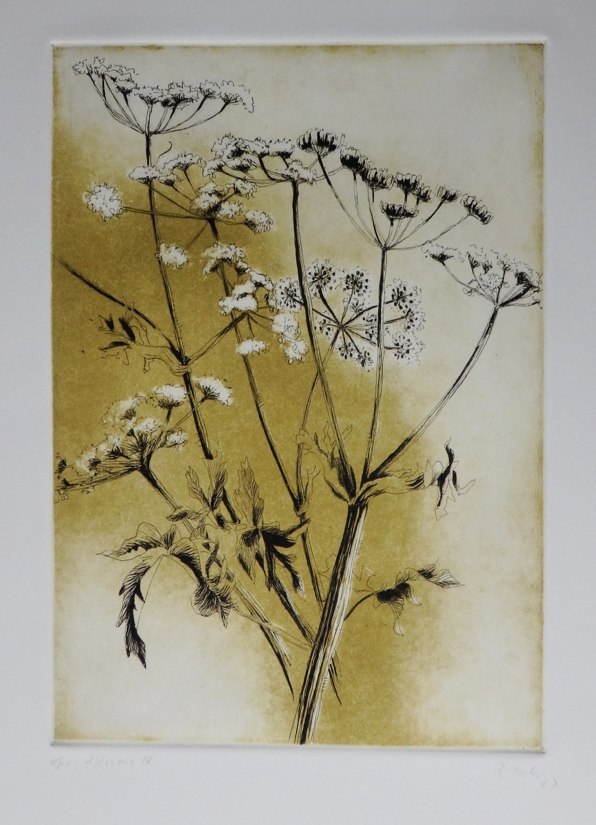 Zuber P1090030